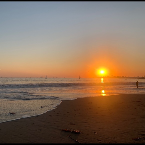 Meet your Posher, Jasmin - Picture 1 of 1